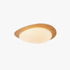 Creative pebble ceiling lamp
