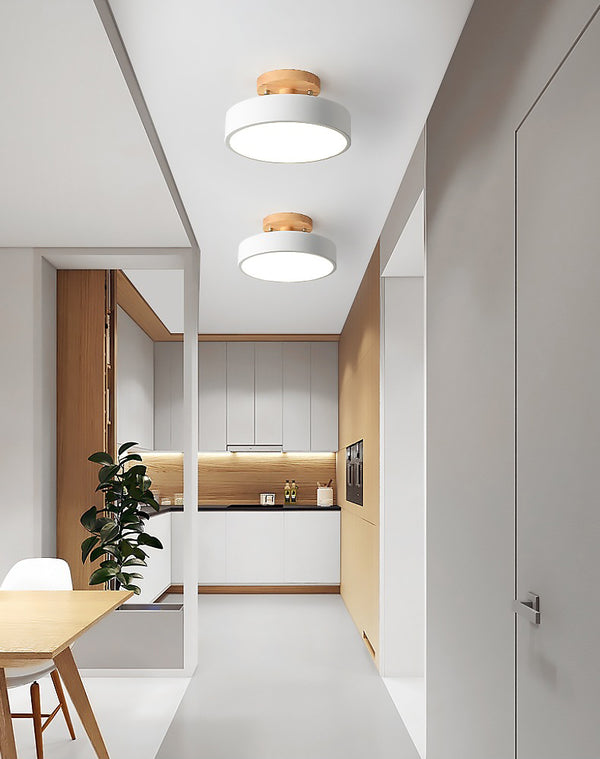 Modern simple LED ceiling lamp