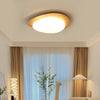 Creative pebble ceiling lamp