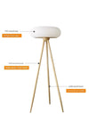 Trident floor lamp