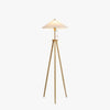 Fan shaped floor lamp