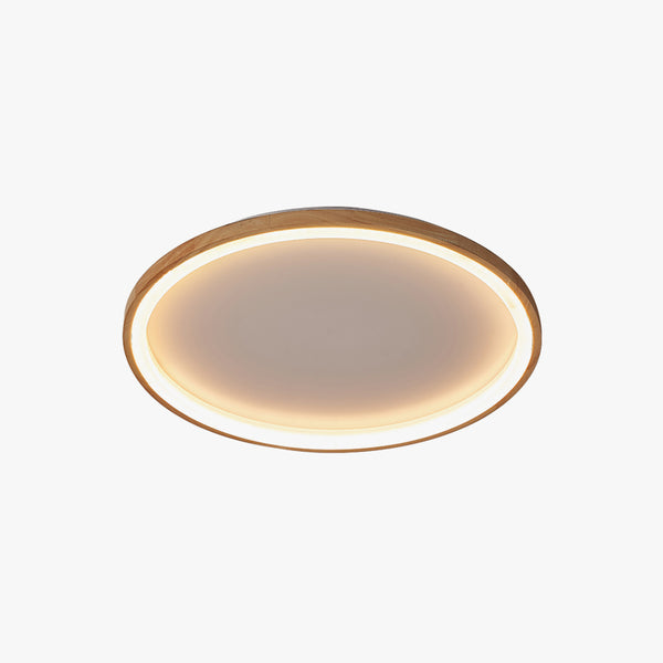 Creative Ring LED Ceiling Light