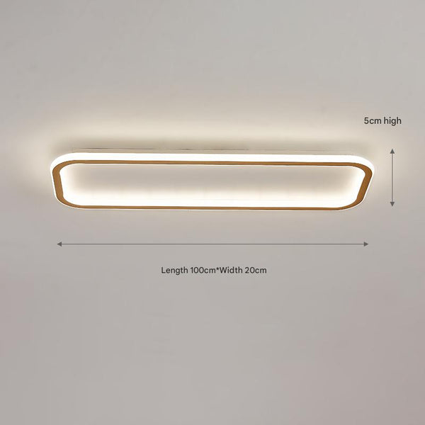 Nordic simple LED ceiling lamp