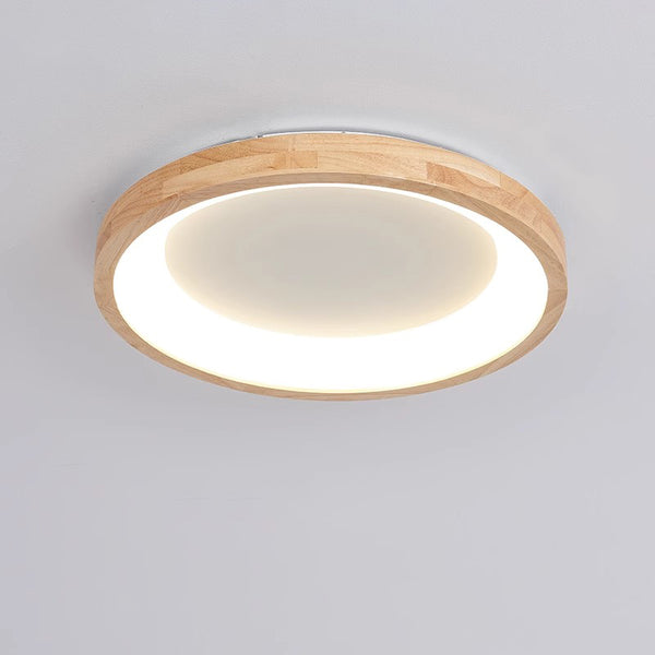 Nordic round LED ceiling light