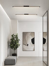 Long corridor LED ceiling light