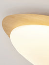Creative pebble ceiling lamp