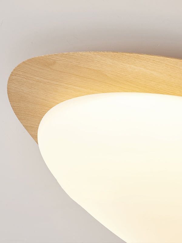 Creative pebble ceiling lamp