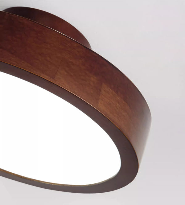 Modern simple LED ceiling lamp
