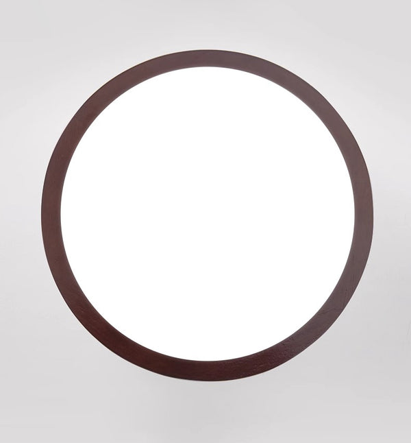 Modern simple LED ceiling lamp