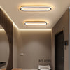 Elliptical strip LED corridor ceiling light