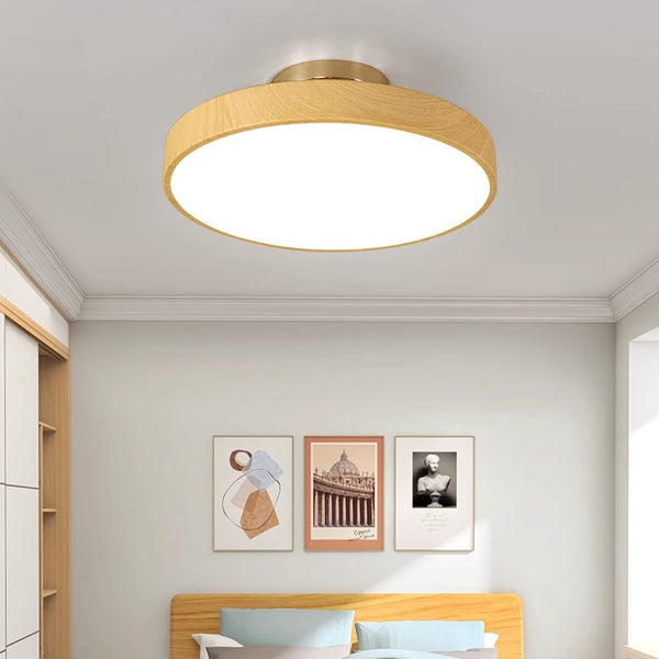 New Chinese style round ceiling lamp