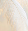 Ostrich Feather Floor Lamp