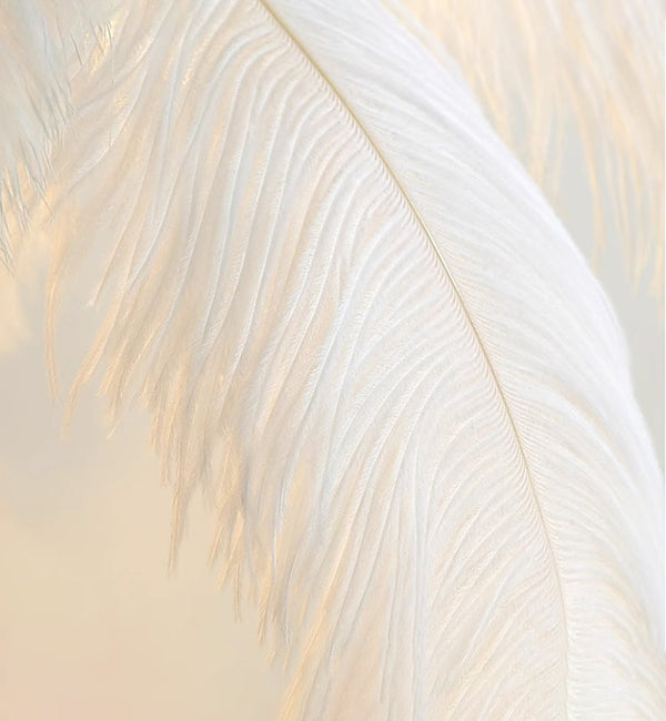 Ostrich Feather Floor Lamp