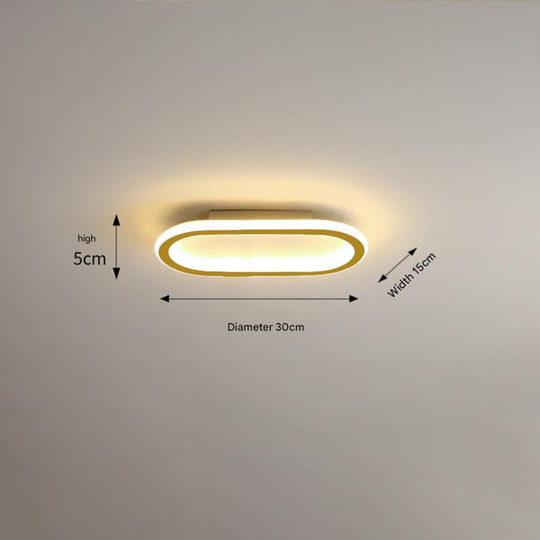 Elliptical strip LED corridor ceiling light
