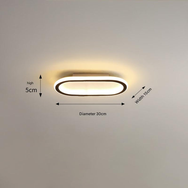 Elliptical strip LED corridor ceiling light