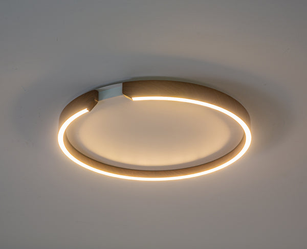 Modern simple LED ceiling lamp