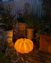 Pumpkin table lamp