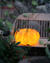 Pumpkin table lamp