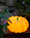 Pumpkin table lamp