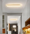 Elliptical strip LED corridor ceiling light
