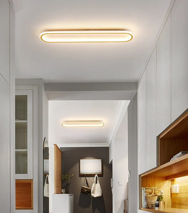 Elliptical strip LED corridor ceiling light