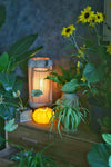 Pumpkin table lamp