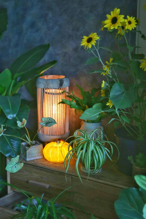 Pumpkin table lamp