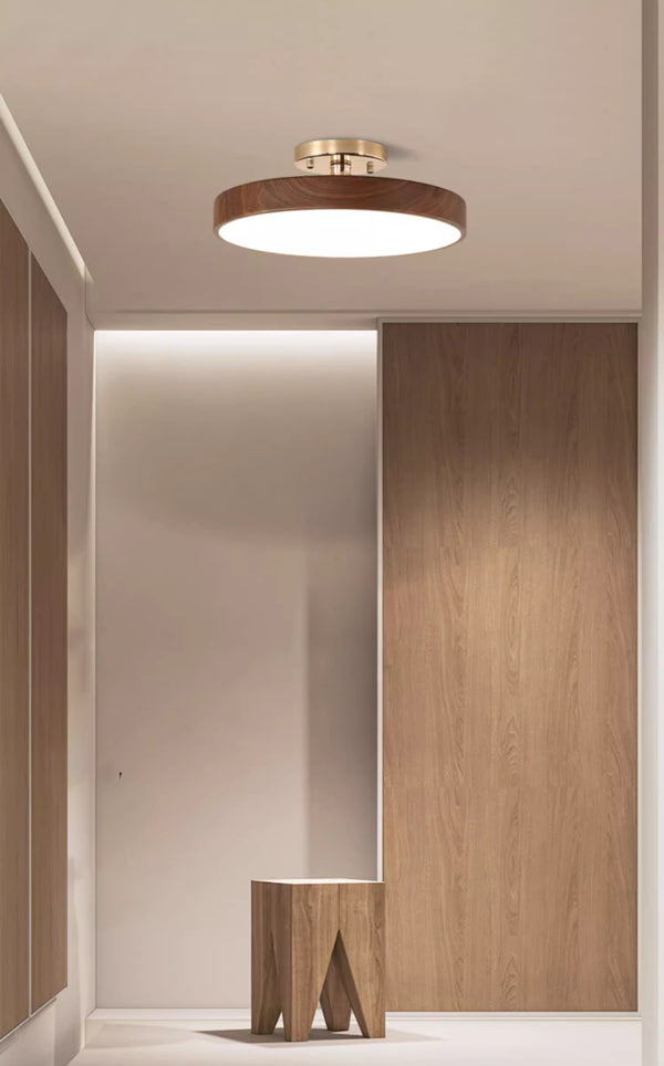 New Chinese style round ceiling lamp