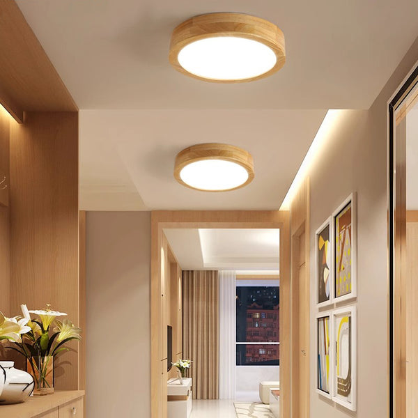 Modern simple LED ceiling lamp
