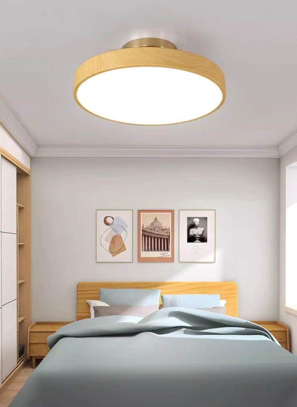 New Chinese style round ceiling lamp