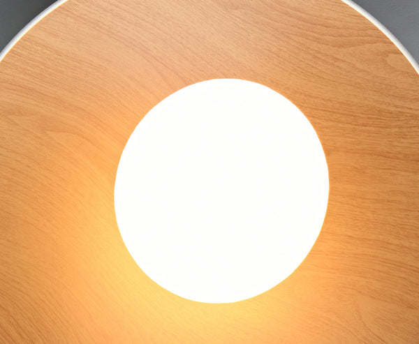 Nordic style LED ceiling light