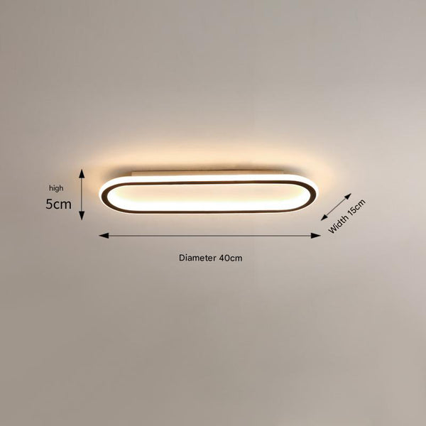 Elliptical strip LED corridor ceiling light