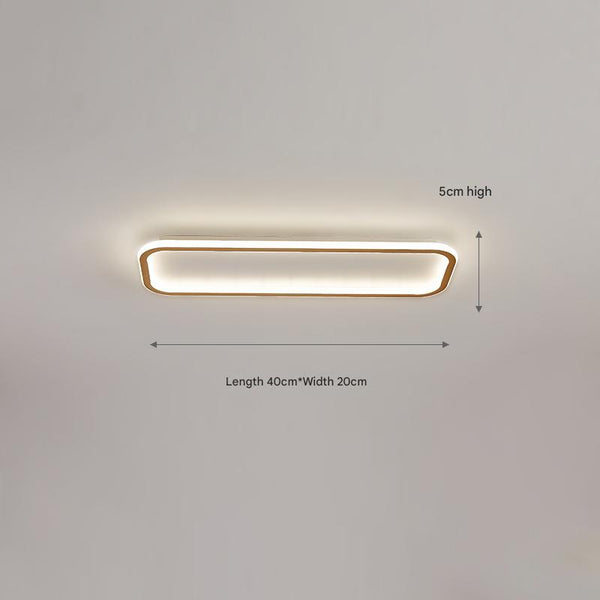 Nordic simple LED ceiling lamp