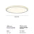 French crystal ceiling lamp