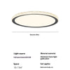 French crystal ceiling lamp