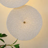 Creative ceramic lotus leaf wall lamp
