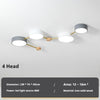 Creative constellation ceiling lamp