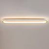 Elliptical strip LED corridor ceiling light