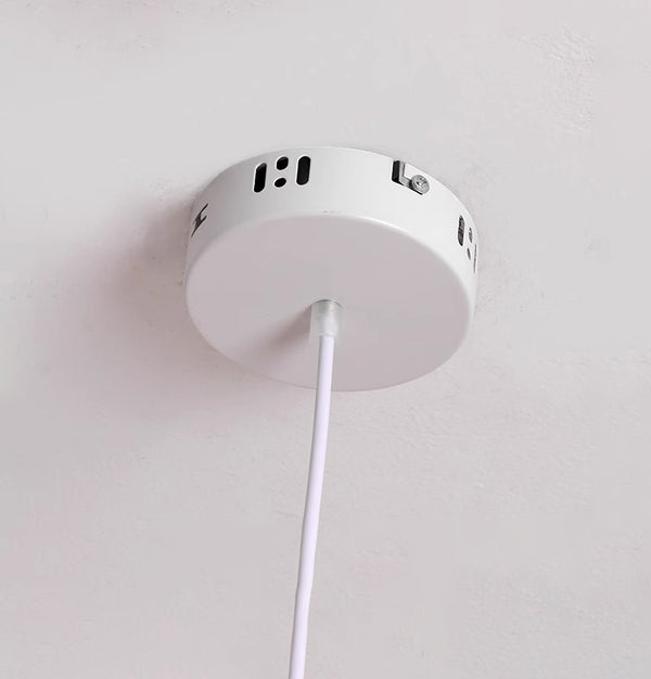 Simple personality single head dining pendant lamp