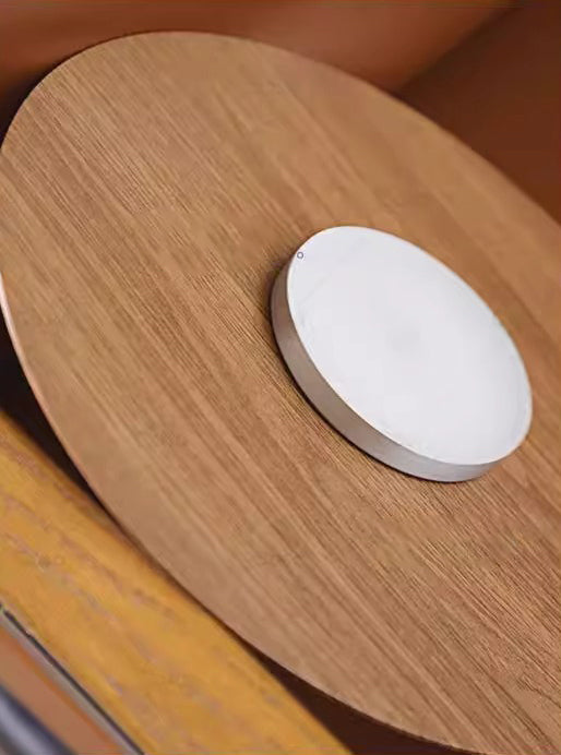 Ultra-thin walnut color aisle ceiling lamp