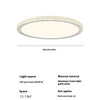 French crystal ceiling lamp