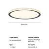 French crystal ceiling lamp