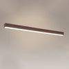 Lange Deckenlampe im japanischen Stil