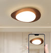 Creative pebble ceiling lamp