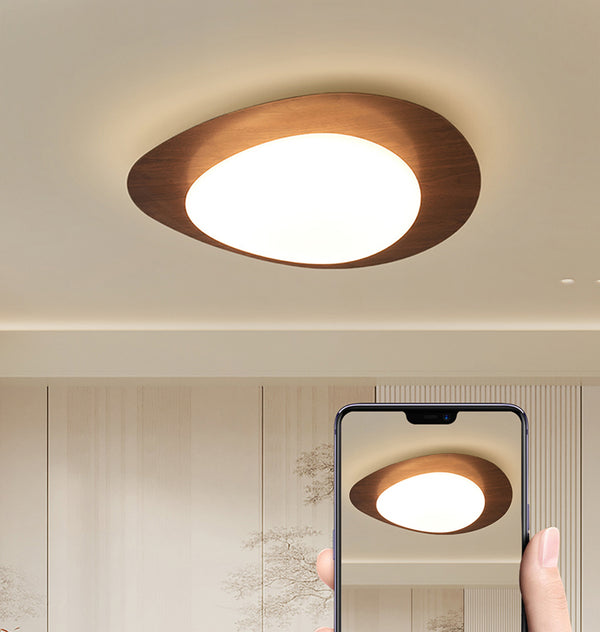 Creative pebble ceiling lamp