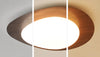 Creative pebble ceiling lamp