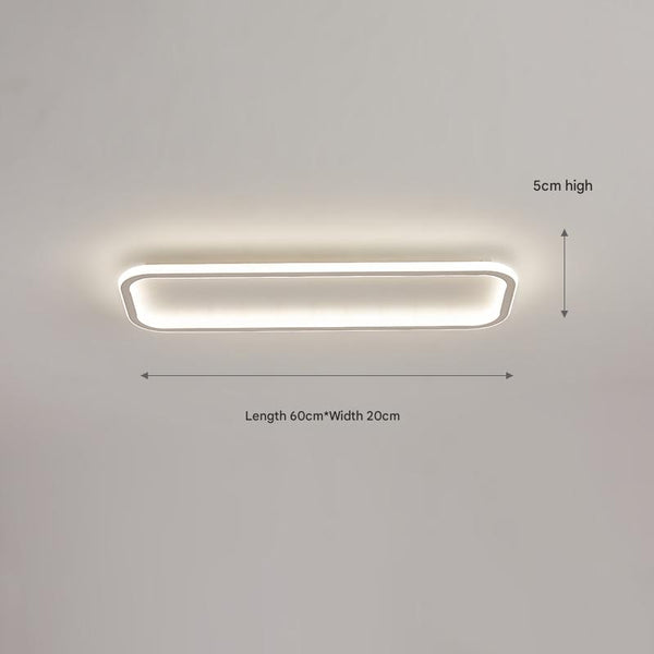 Nordic simple LED ceiling lamp
