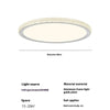 French crystal ceiling lamp