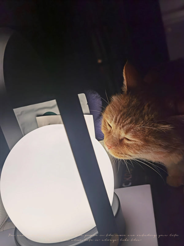 Carrie LED Portable Table Lamp