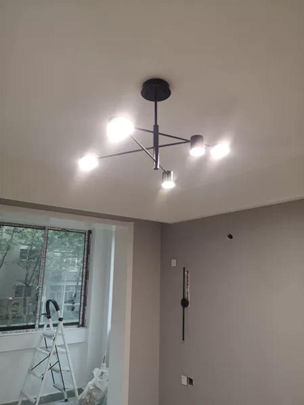 Creative Shape Chandelier, 2 Colour, 4/6/8 Heads